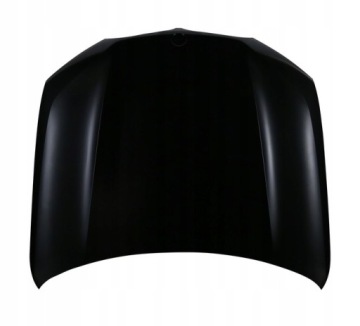 OE MASKA BMW X5 G05 (2018->) 41007492375