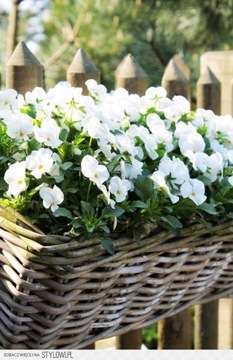 УНИВЕРСАЛЬНЫЙ грунт-субстрат для РАСТИТЕЛЬНЫХ ЦВЕТОВ 5л