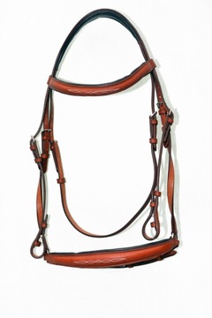 Профилированная анатомическая команда полна