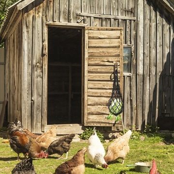 Сумка для медленной подачи лука Fru Poultry Cover