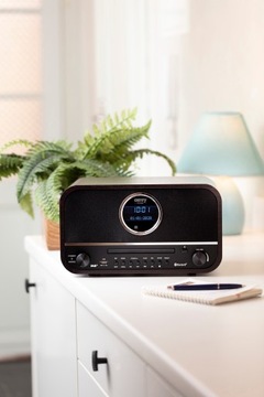 ЦИФРОВОЕ РЕТРО РАДИО DAB/FM/CD/BT WOOD CR1182
