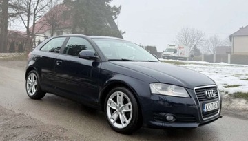 Audi A3 8P Hatchback 3d 1.6 TDI 105KM 2010 Audi A3 3-drzwiowe Audi A3 3-drzwiowe 1.6 TDI DPF Ambition 1.6 Diesel 105KM, zdjęcie 4