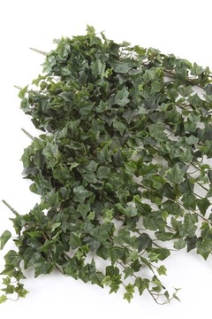 Длинновисящая лоза искусственного плюща Hedera 170