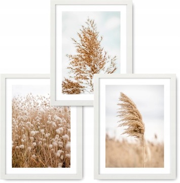 BOHO 3 obrazy 33x43 NATURA TRAWA ramy IKEA #11