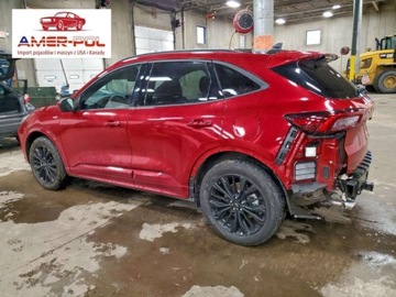 Ford Escape III 2024 Ford Escape FORD ESCAPE ST LINE ELITE 2.5 Hybryda 192KM, zdjęcie 2