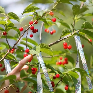 TAŚMA ODSTRASZAJĄCA PTAKI | 5cm / 50m | ODSTRASZACZ PTAKÓW DO OGRODU