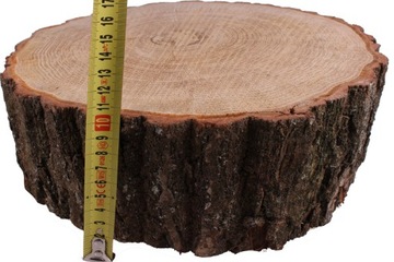 Krążek plaster drewna dąb dębowy 30 - 40 cm gruby