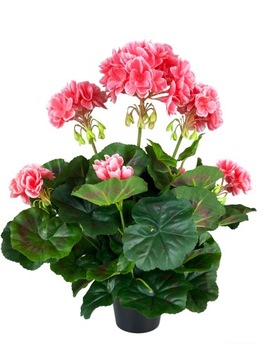 PELARGONIA SZTUCZNA RÓŻOWA ŁOSOSIOWA W DONICZCE JAK ŻYWA