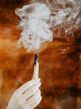 СЕТ Пало Санто I GAT + Красный и Белый Шалфей