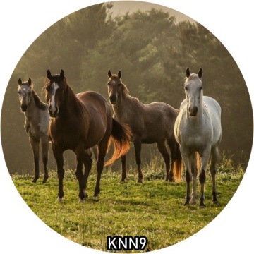 Украшение для торта вафельное HORSE круглое 20 см на день рождения