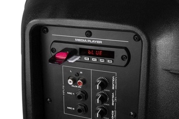 Аудиосистема USB мощностью 600 Вт + микрофонные стойки, пульт дистанционного управления, вокальные выступления диджеев