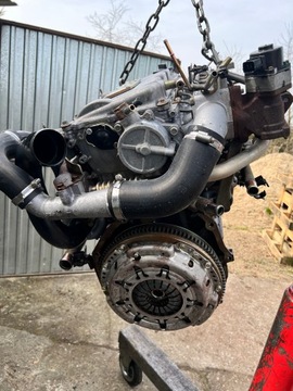 SILNIK KOMPLET PRIMERA NISSAN X TRAIL ALMERA TINO 2.2 DI 2,2 DCI YD22