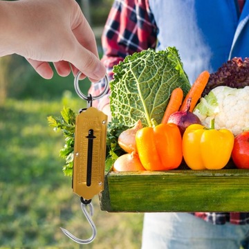 ПРУЖИННЫЕ ВЕСЫ ПОДВЕСНЫЕ ВЕСЫ ВЕСЫ ДЛЯ МАЛЕНЬКИХ РЫБОК