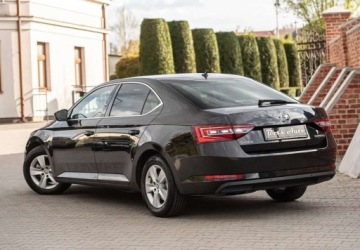 Skoda Superb III Liftback 1.6 TDI 120KM 2016 Skoda Superb 1.6TDI 120KM Ledy Navi Camera DSG Po Serwisie Bez Wkladu, zdjęcie 8