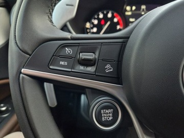 Alfa Romeo Stelvio SUV 2.0 Turbo 280KM 2018 Alfa Romeo Stelvio Q4 2.0 280 KM, zdjęcie 17