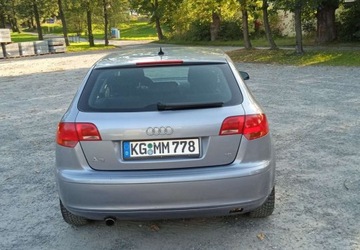 Audi A3 8P Hatchback 3d 1.6 FSI 115KM 2005 Audi A3 1,6 Benzyna 5 Drzwi Klima El szyby ..., zdjęcie 14