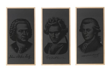 Zestaw ekrany akustyczne wizerunki 3szt DREWNO dekoracyjne 50x100 4cm biuro