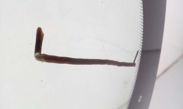 SKLO (OKNO) ČELNÍ ALFA SPIDER CABRIO 2006-2010 NOVÁ