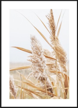 ZESTAW 3 SZT A3 30,00 x 40,00 WYBIERZ WZÓR SKOMPONUJ GALERIĘ PLAKAT NATURA