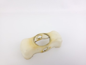 Биала Ромет Вигри Лаура Чацка