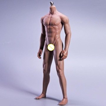 Масштаб 1/6, мускулистая кожа, мускулистый мужчина, нержавеющая сталь