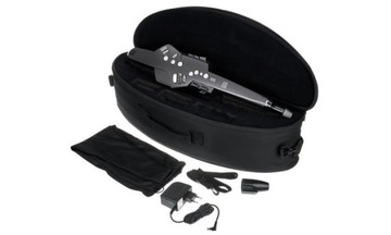 Аэрофон - Roland AE 10G