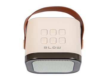 Głośnik Bluetooth KARAOKE RGB