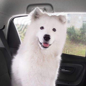 АВТОМОБИЛЬНЫЙ СОЛНЦЕЗАЩИТНЫЙ КОЗЫРЕК ДЕТСКИЙ КОЗЫРЕК ЗАДНЕГО ОКНА 2x