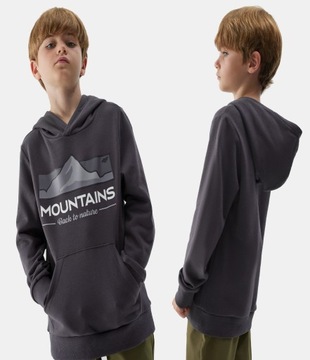 Толстовка для толстовки 4F.