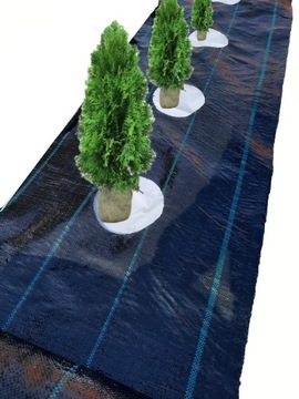 Agrotkanina duże OTWORY pod TUJE co 60cm 1,1x10m pod MALINY BORÓWKĘ KWIATY
