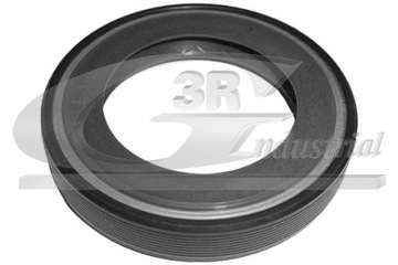 3RG GUFERO 58X40X10