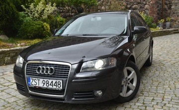 Audi A3 8P Hatchback 3d 2.0 TDI PD 140KM 2007 Audi A3 AUDI A-3 2.0 tdi z 2007 roku w automacie