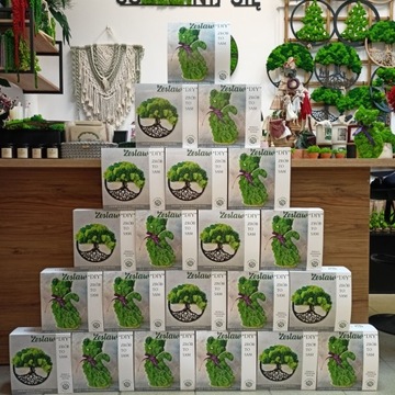 Коробка своими руками. Моховое дерево 20 см. (без пистолета и клея)