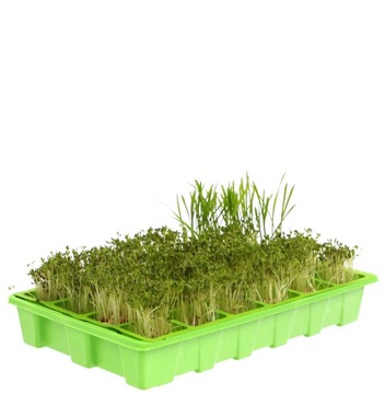 МИНИ-ТЕПЛИЦА ПРОСТОЯЩАЯ СЕЯЛКА-ГЕНЕРАТОР 24 камеры 5x5см