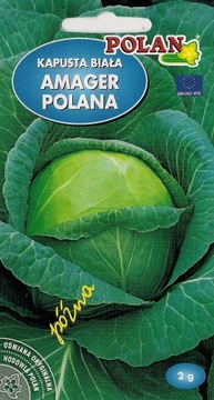 Kapusta głowiasta biała AMAGER POLANA 2g