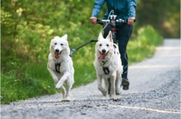 Touring Двойной поводок Non-stop черный/серый 0,5м/13мм