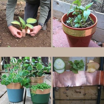 МЕДНАЯ КЛЕЙКАЯ ФОЛЬГА, КЛЕЙКАЯ ЛЕНТА, ПРОТИВ СЛИНКОВ, 25 М Х 50 ММ