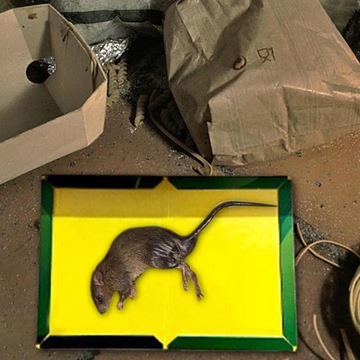 БОЛЬШАЯ МЫШЕЛОВКА ДЛЯ КРЫС МЫШЕЛОВКА С ПРОЧНЫМ КЛЕЕМ ПРОЧНАЯ СТЕКЛЯННАЯ ЛОВУШКА