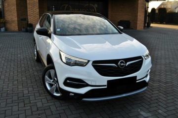 Opel 2018 Opel Grandland X NAVI* Kamera* OPŁACONY, zdjęcie 1