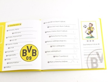 Друзья альбома BVB Borussia Dortmund