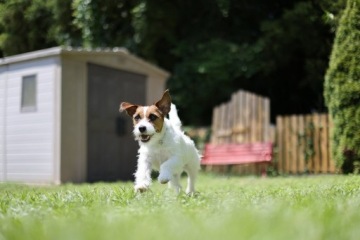 Объектив Canon RF 50mm F1.8 STM Canon RF