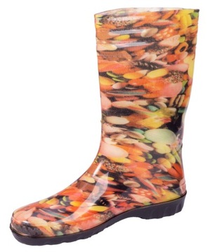 DAMSKIE KALOSZE GUMOWCE GUMIAKI BUTY DAMA PR.2 41