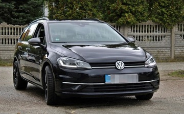 Volkswagen Golf VII Variant Facelifting 1.6 TDI-CR DPF BMT 115KM 2019 Volkswagen Golf 2019 Automat Bezwypadkowy 1.6 Diesel 116KM, zdjęcie 3