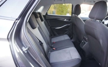 Opel 2017 Opel Grandland X Bezwypadkowy Serwisowany 1-Wlasciciel Grz.Fotele Kierowni, zdjęcie 10