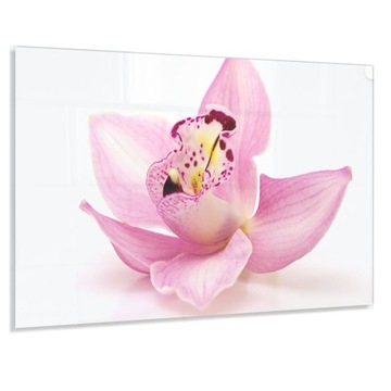 Hartowany Panel Kuchenny 90x70 Gratis