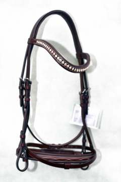 Профилированная анатомическая команда полна