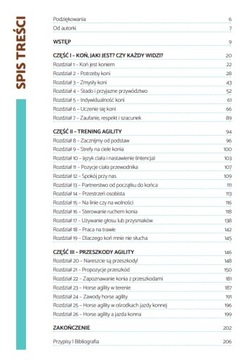 Книга «Лошадь ловкость: Руководство для дружелюбного лидера»