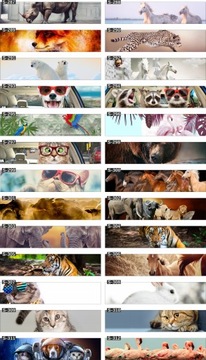 КУХОННЫЕ ФОТОБОИ ламинированные для кухни, изготовление на заказ.