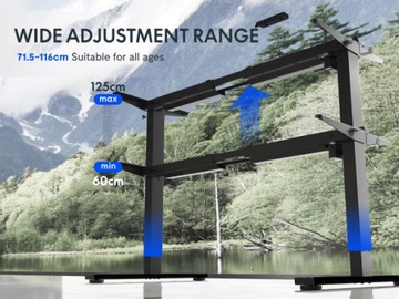 Flexispot Electric Stadth Stands Рама рама рамы с регулировкой высоты, черный