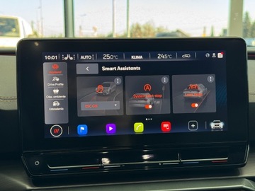 Cupra Formentor 2022 Cupra Formentor 4Drive DSG / Panorama / DCC / CarP, zdjęcie 31